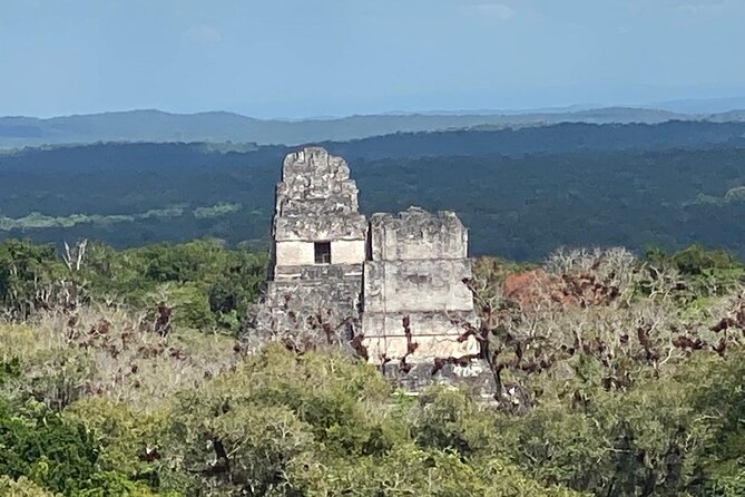 Mayan Adventure: Tikal in a Day - Key points to know before booking
