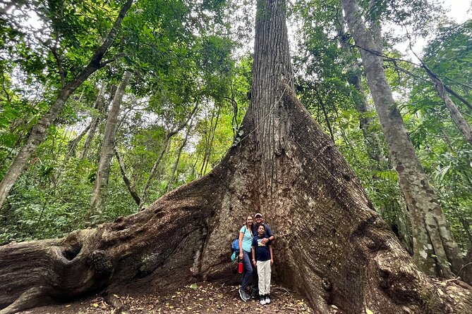 Mayan Adventure: Tikal in a Day - North Acropolis and Temple III