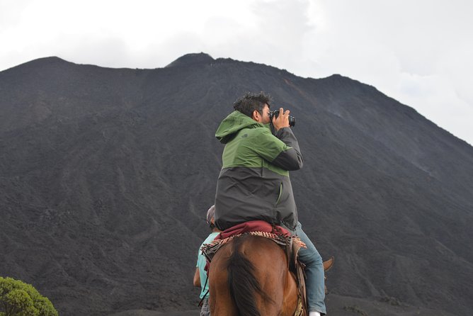 Pacaya volcano, Active Nature - The horse issue and how to handle it