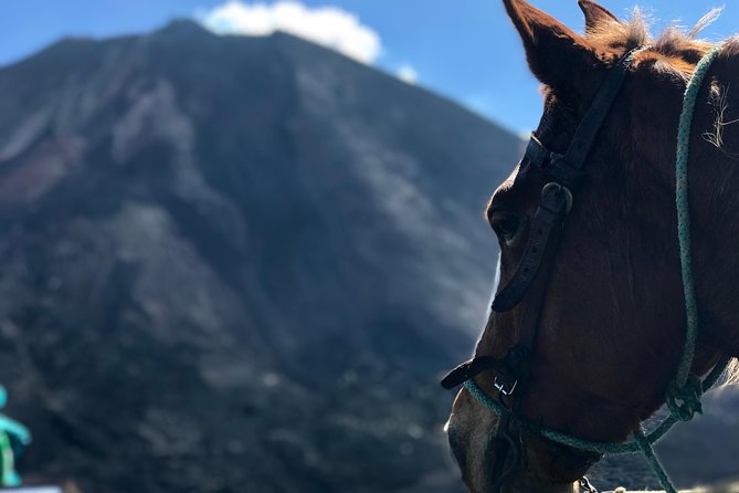 Pacaya Volcano and Thermal Pools - Key points at a glance