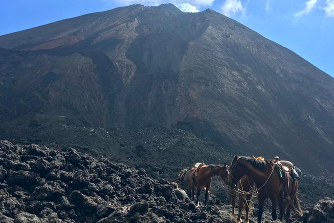 Pacaya Volcano and Thermal Pools - Climbing Pacaya for about three hours