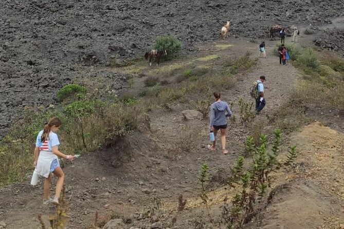 Pacaya Volcano Excursion from Guatemala City - The hike: scenic, manageable, and pace-sensitive
