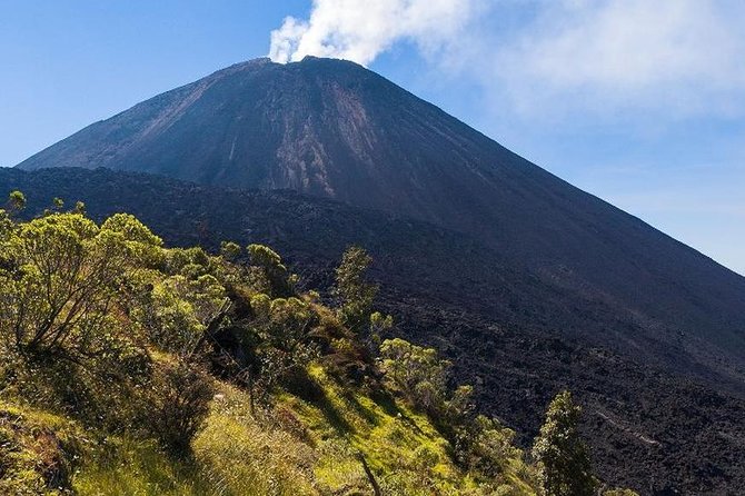 Pacaya Volcano Excursion from Guatemala City - Who will enjoy this excursion most?