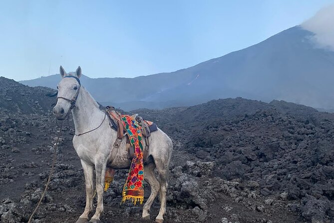 Pacaya Volcano Horseback Fast Ride Lava Pizza Chef - Who should book this Pacaya ride?
