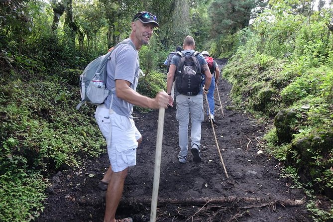 Pacaya Volcano Sunset Tour from Antigua - Picnic Food and the Midday Pause