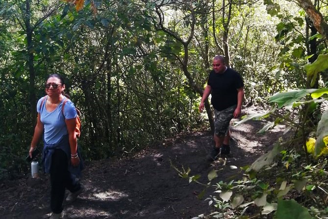 Pacaya Volcano Tour and Hot Springs from Guatemala City - What the Pacaya Hike Really Feels Like