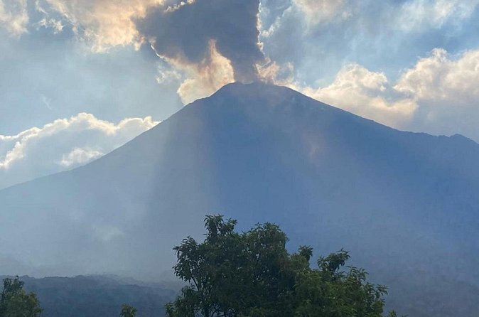Pacaya Volcano Tour from Antigua Guatemala - The climb through forest and black lava
