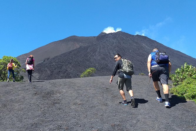 Pacaya Volcano Tour - Walking the forest route toward Pacaya