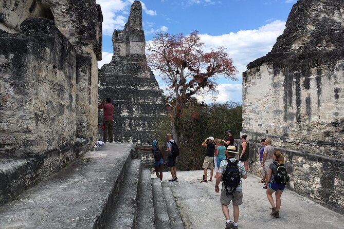 Private Tour of Tikal from Belize Western border - Temple I and Temple II from the best angle