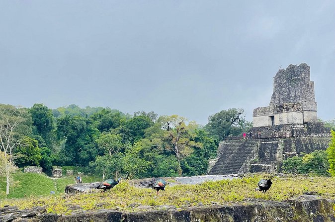 Private Tour to Tikal from Flores, all included. - Who will enjoy this Tikal experience most?