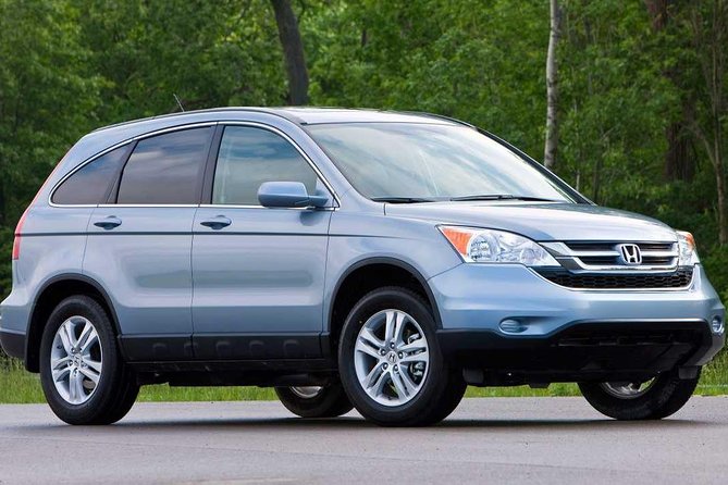 Private Transportation Flores-Auction to Tikal (One-day round trip) - Key points to know before booking
