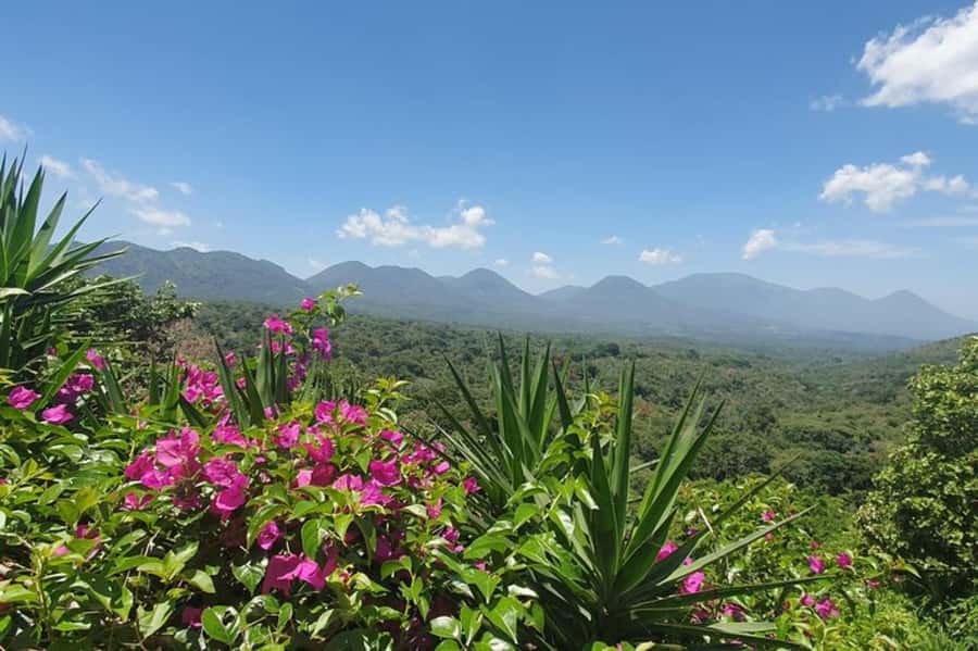 San Salvador: Full Day Ruta de Las Flores and Coffee Farm - Concepción de Ataco: murals, food, and a livelier stop
