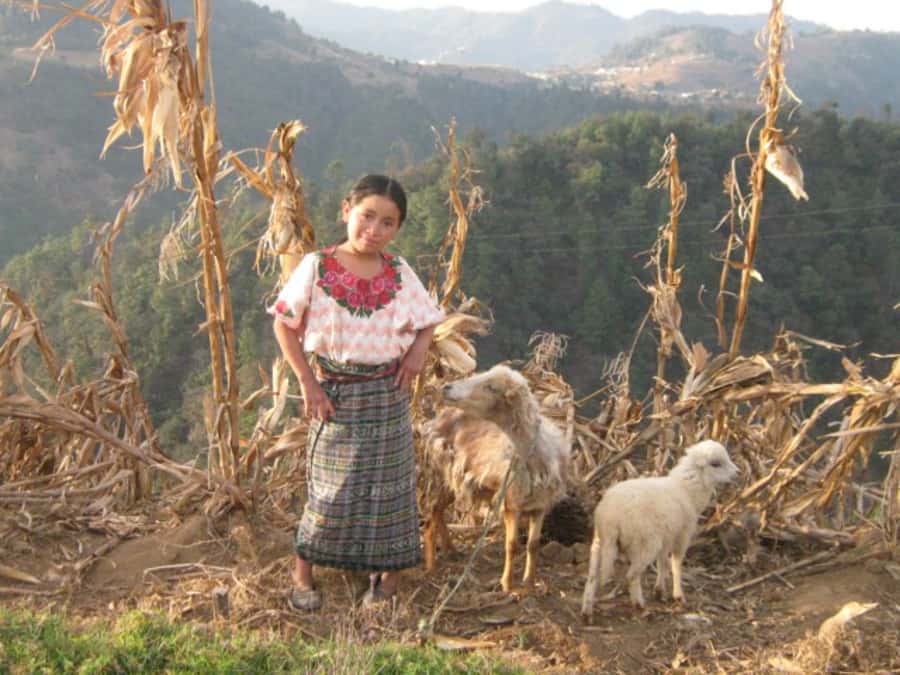 Santa Cruz La Laguna: 6-Hour Solola Hike & Market Visit - Big Lake Atitlan views from the high country