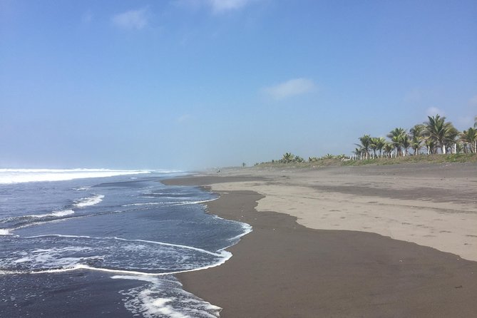 Shared Shuttle - between Antigua and El Paredon - Key points to know before you book