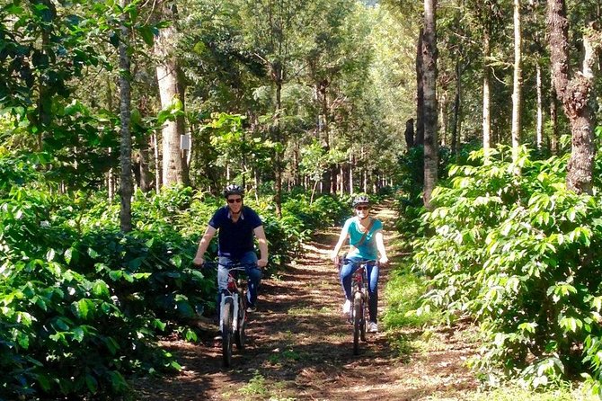 Sip n' Cycle Coffee and Mountain Bike Tour - Five useful things to know before you book
