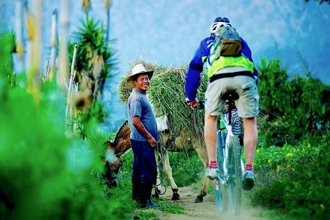 Sip n' Cycle Coffee and Mountain Bike Tour - Meeting a co-op member at the coffee farm