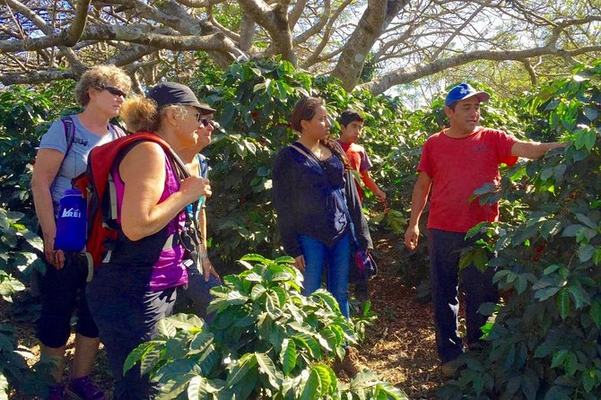 Sip n' Cycle Coffee and Mountain Bike Tour - Why this experience earns strong praise