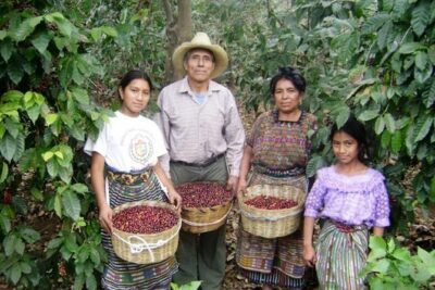 Solola Market, Panajachel Cloud Forest and Mayan Villages from Antigua