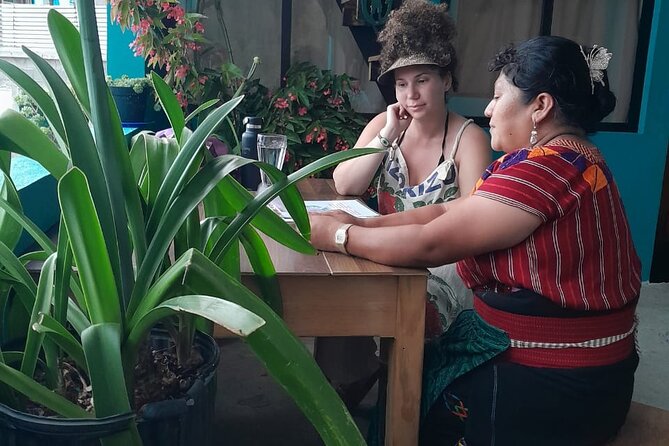 Temazcal sauna and dinner, cultural sharing experience - Why the $60 price can make sense