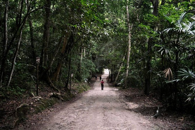 Tikal and Yaxha Exclusive Private Tour from Flores - Lunch inside Tikal National Park