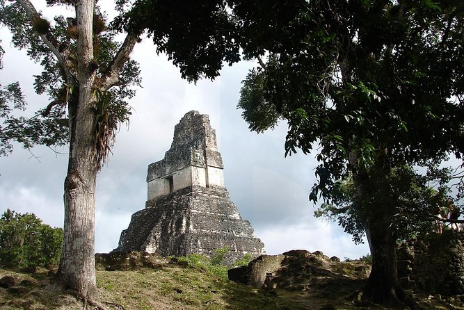 Tikal and Yaxha Exclusive Private Tour from Flores - What the private format is worth at $300
