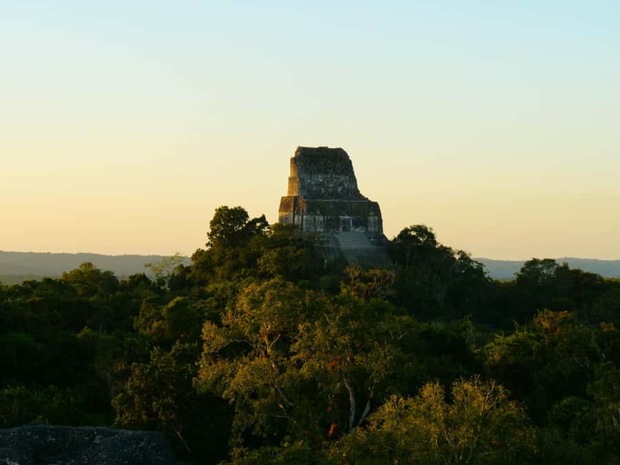 Tikal Day Group Tour - Why Tikal Is Worth a Full Day From Flores
