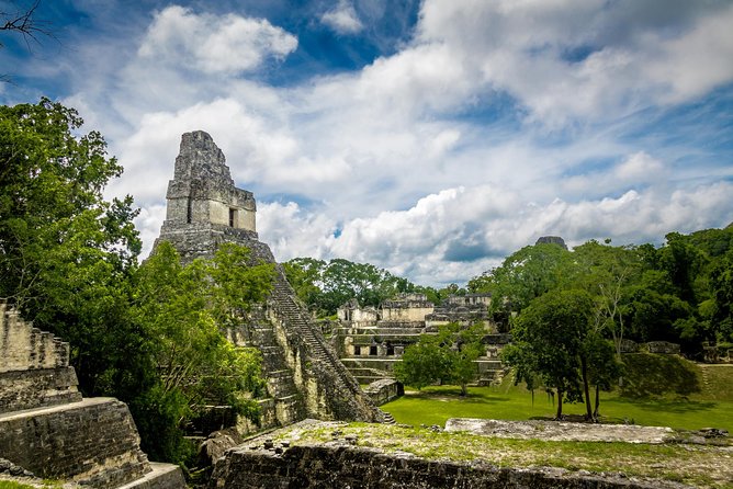 Tikal Day Trip by Air from Guatemala City with Lunch - Temple IV and the jungle views
