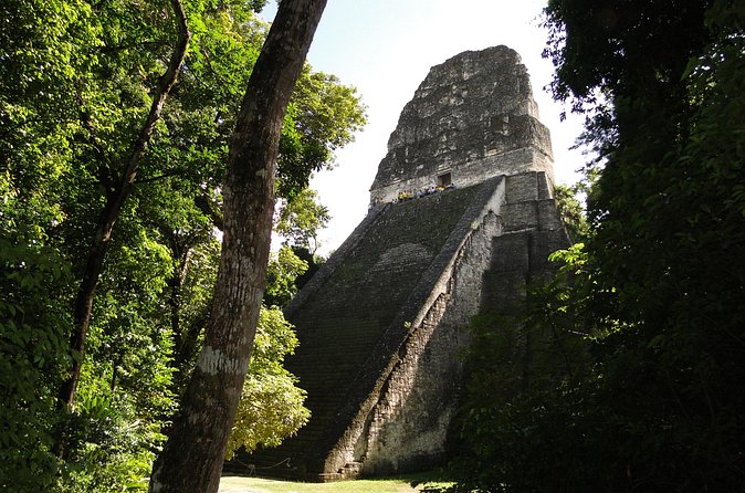 Tikal Exclusive Full-Day Tour - Temple IV and Tikal’s grandest moment