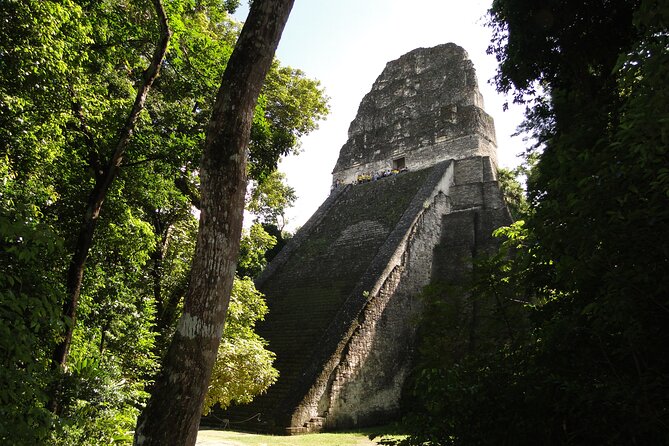 Tikal Exclusive Full-Day Tour - A useful option for evening flights
