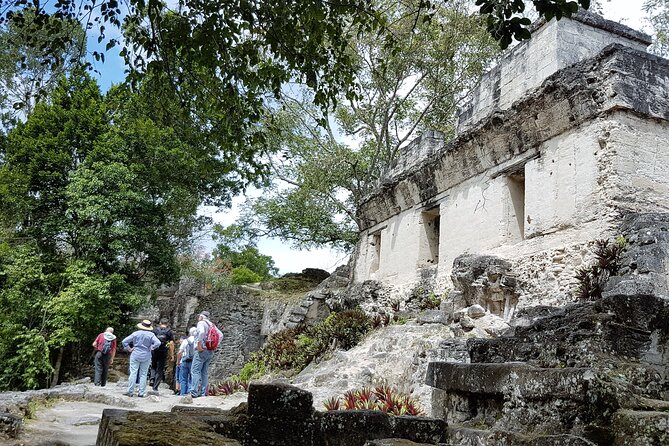Tikal from Flores or Mundo Maya Airport with transportation, local guide and lunch - Guides who add meaning to the ruins