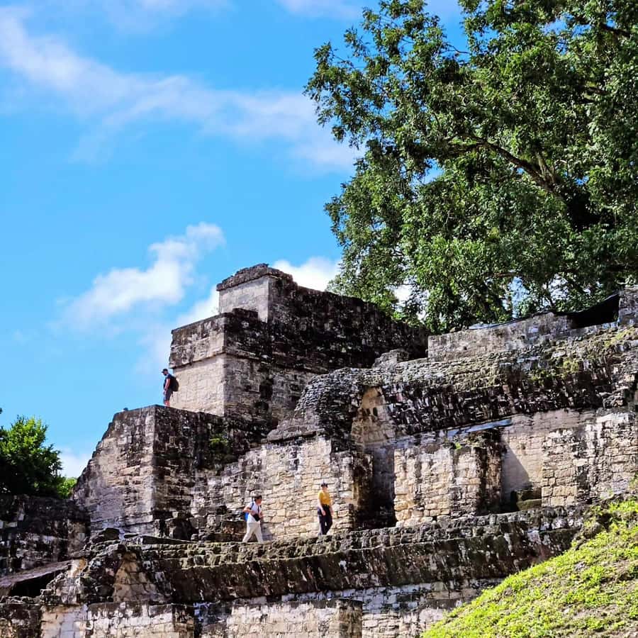 Tikal From Flores: With Transportation Lunch and Local Guide - Key points at a glance