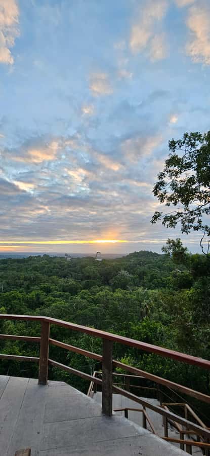 Tikal from Hotel Camino Real El Remate - All Inclusive - Why Tikal makes a full-day-style outing worthwhile