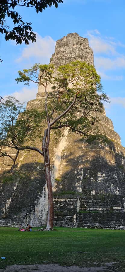 Tikal from Hotel Camino Real El Remate - All Inclusive - Arriving at the Tikal Visitor Center