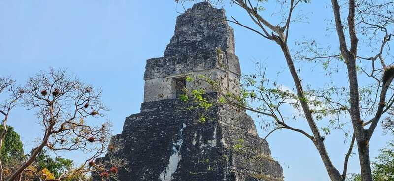 Tikal from Hotel Camino Real El Remate - All Inclusive - Temple IV and the route through Mundo Perdido