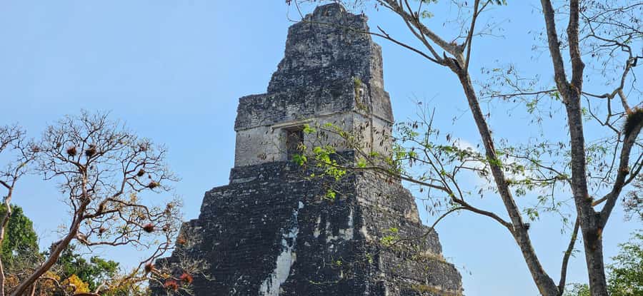 Tikal from Hotel Camino Real El Remate - All Inclusive - The Central Acropolis, Northern Acropolis, and Great Plaza