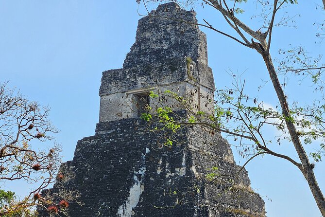 Tikal from Hotels in Flores, Airport, El Remate with Lunch - Why this Tikal day trip works well from Flores