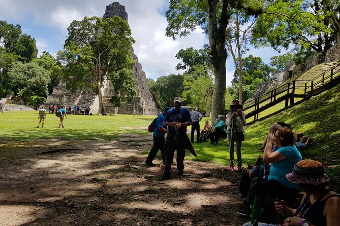 Tikal from Hotels in Flores, Airport, El Remate with Lunch - The entrance fee changes the true price