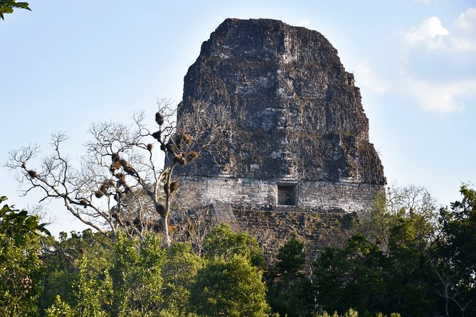 Tikal Full-Day Group Tour - Four hours among Tikal’s great complexes