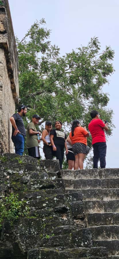 Tikal Group Tour Transportation, Guide plus Lunch - Key points to know before booking