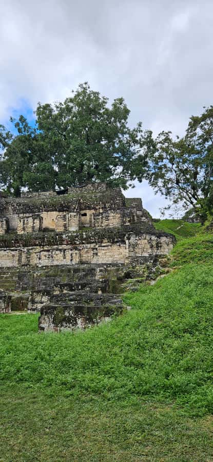 Tikal Group Tour Transportation, Guide plus Lunch - Why this Tikal day trip works well