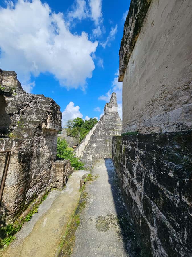 Tikal Group Tour Transportation, Guide plus Lunch - Entering Tikal through the forest