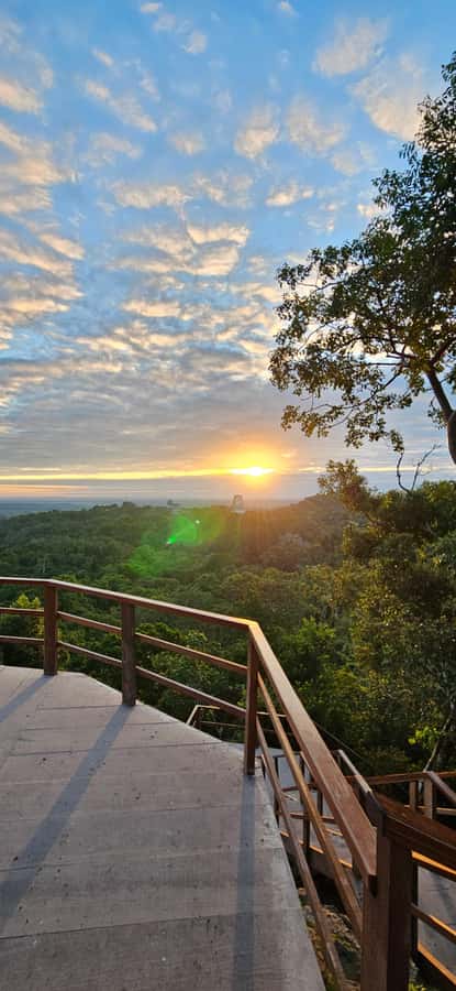Tikal Group Tour Transportation, Guide plus Lunch - Morning pickups from Flores, the airport, and El Remate