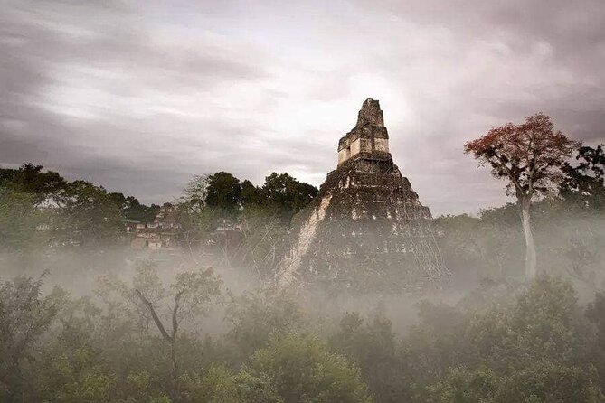 Tikal Guatemala (All Inclusive) - How the guide can shape the whole visit