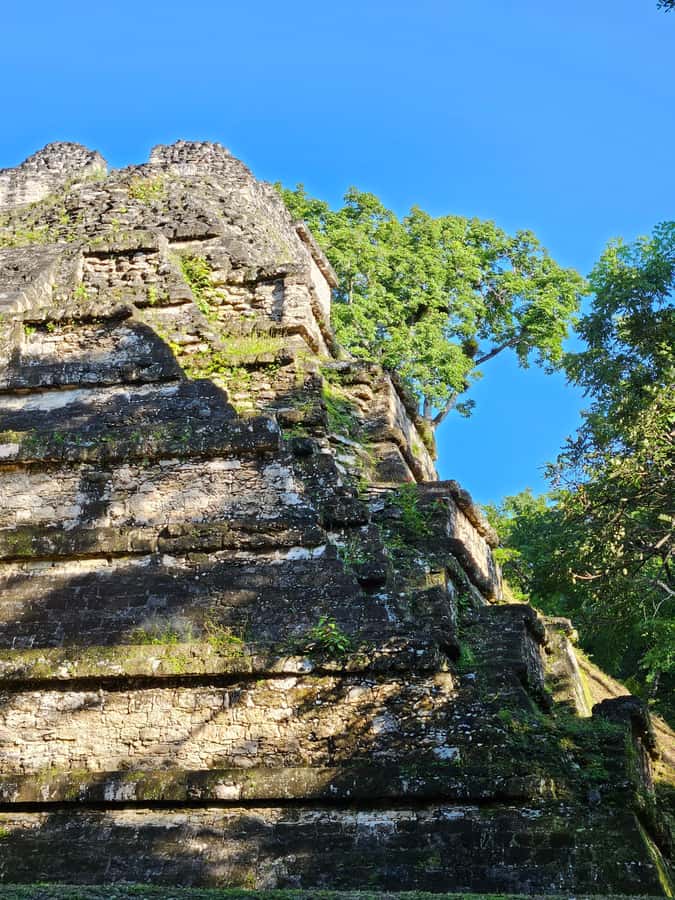 Tikal Guatemala desde Flores o Aeropuerto Mundo Maya - Why Tikal is worth the long day
