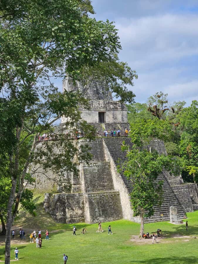 Tikal Guatemala desde Flores o Aeropuerto Mundo Maya - Birds, monkeys, and the sound of the forest