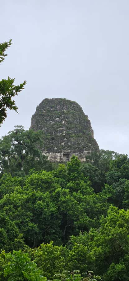 Tikal Guatemala desde Flores o Aeropuerto Mundo Maya - What the $50 price really covers