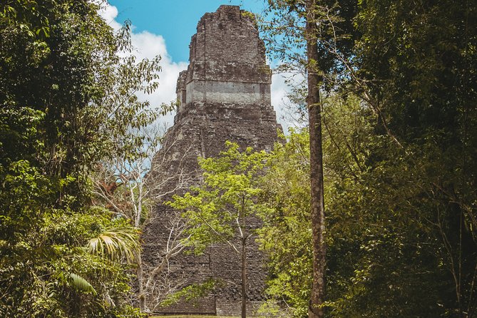 Tikal National Park Full-Day Guided Tour from Flores - The drive from Flores and the first steps into the park