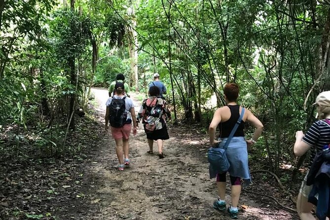 Tikal Private Day Tour Maya Adventure from Flores - The Great Plaza, Temple I, and Temple II