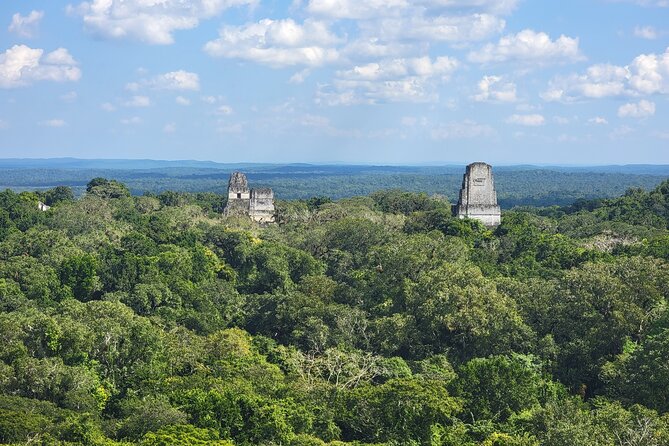 Tikal Private Tour from Flores Guatemala with Transportation - Key Points Before You Book