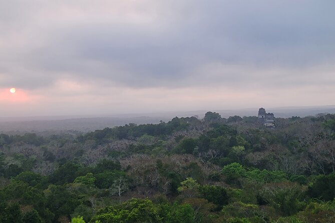 Tikal Private Tour from Flores Guatemala with Transportation - Walking the Ruins With Elmer or Kendel